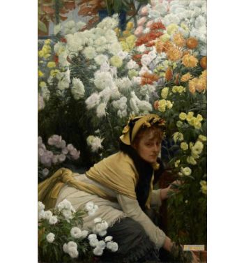 Chrysanthemums