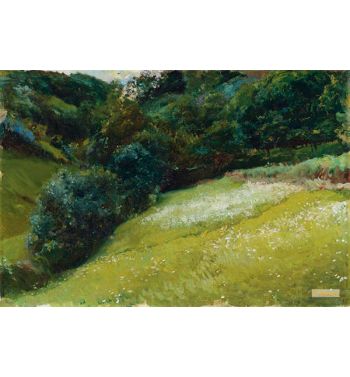 The Field In Asturias San Esteban De Pravia 1903