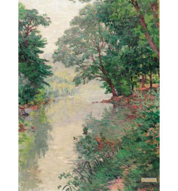 Ruisseau Dans La Forêt