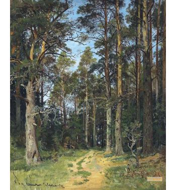 Siverskaya 1896