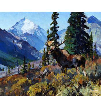 Moose on the Head of Ram River
