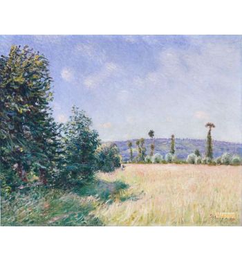 Sahurs Meadows In Morning Sun 1894