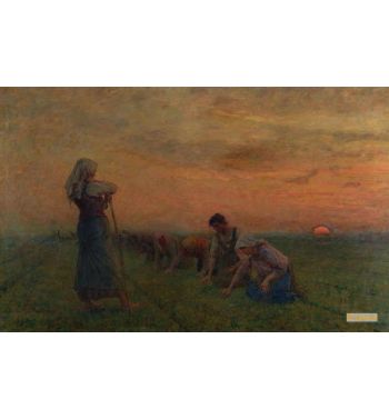 Les Sarcleuses De Lin