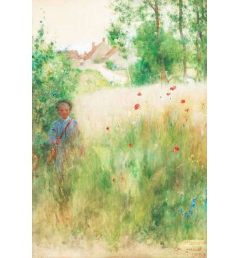 The Apple Harvest
