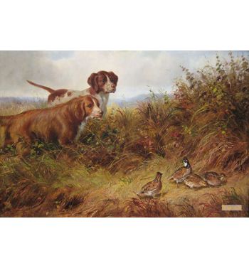 On Point