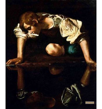Narcissus