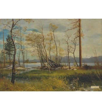Lake Tahoe 1872
