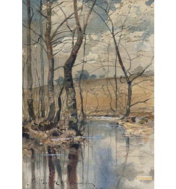Woodland Pond 1882