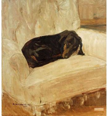 Sleeping Dachshund In The Armchair