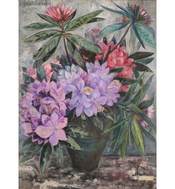 Rhododendrons