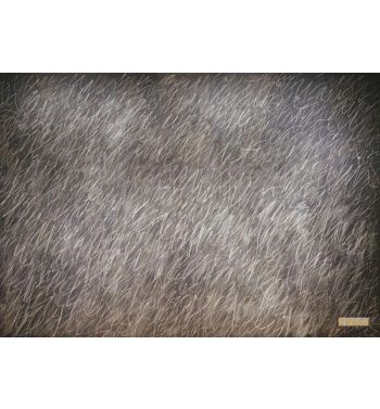 Untitled, 1970