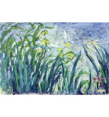 Yellow And Purple Irises 1924-1925