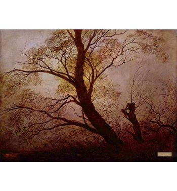 Trees In The Moonlight