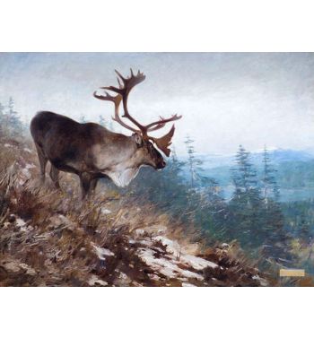 Yukon King Caribou