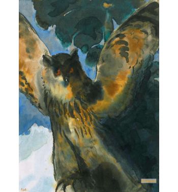 Owl