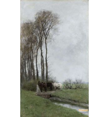 Horses At The Gate
