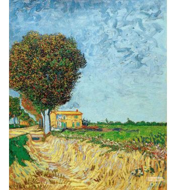 A Lane Near Arles