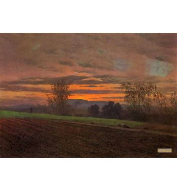 Plowed Field