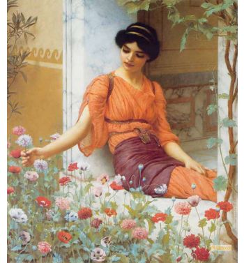 Summer Flowers