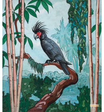 Tropical Landscape with Palm Cockatoo