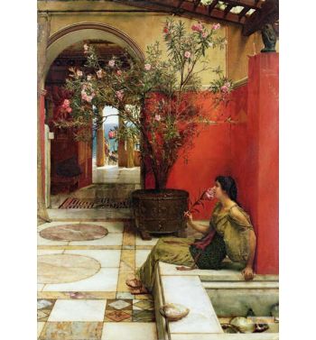 An Oleander 1882