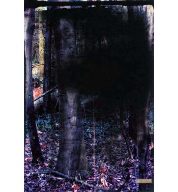 Untitled 2, 2, 0