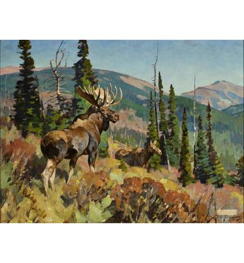Moose