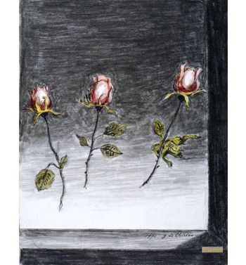 Apparizione di Rose
