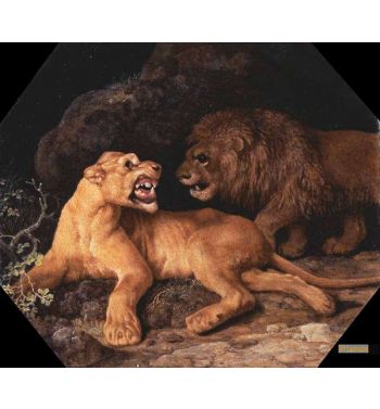 Lion And Lioness