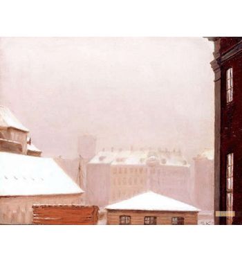 Copenhagen; Roofs Under The Snow