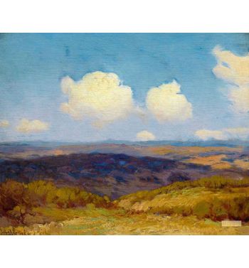 Flying Shadows 1910