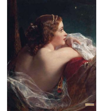 The Moonlit Beauty