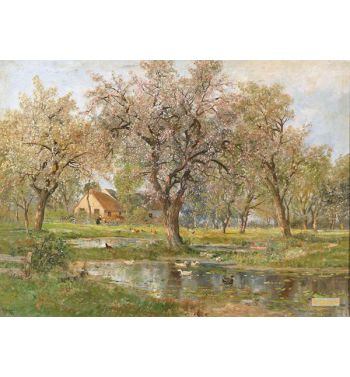 Landscape in Spring