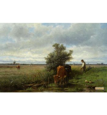 Cattle Watering