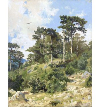 Wooded Landscape