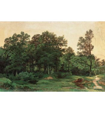 Deciduous Forest