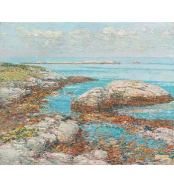Rocks At Appledore Morning