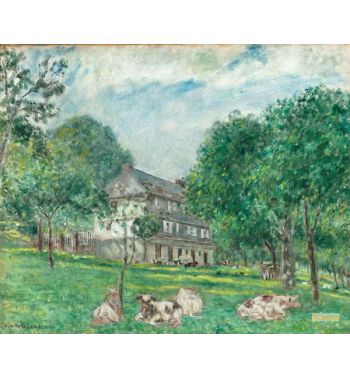Cows At Noon