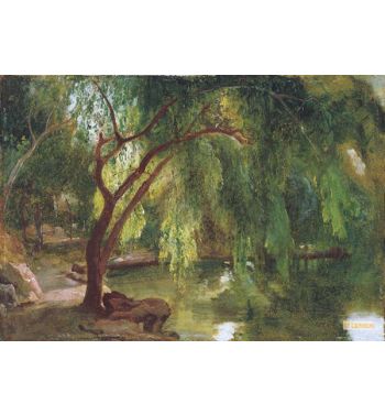 Im Berliner Tiergarten Waldweg Mit Wasser