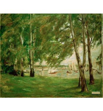 Birches On The Wannsee Shore To The East