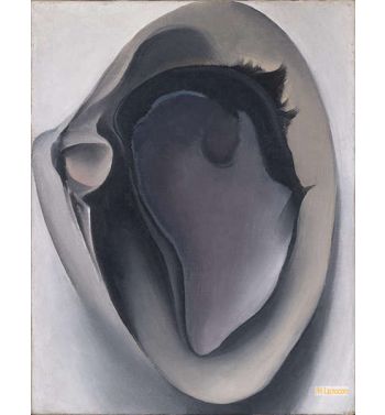 Clam And Mussel 1926