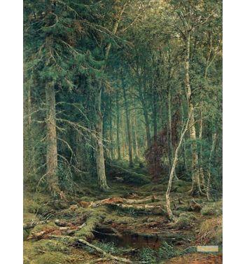 Backwoods 1872