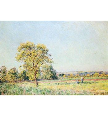 A Summers Day 1886