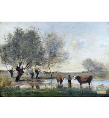 Cows In A Marshy Landscape