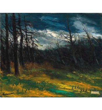 Forest And Stormy Sky