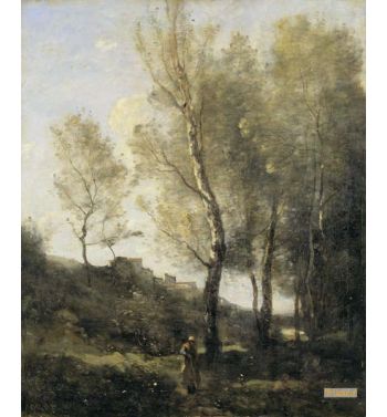 Landscape With Poplars