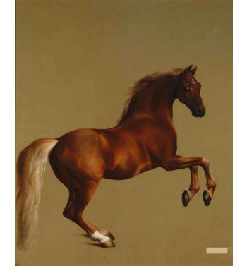Whistlejacket