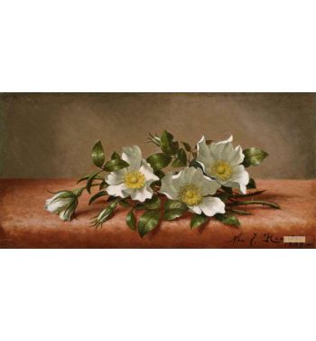 Cherokee Roses