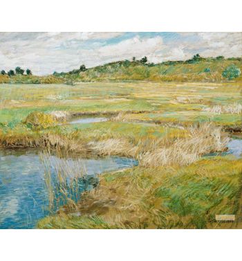 The Concord Meadow C 1890