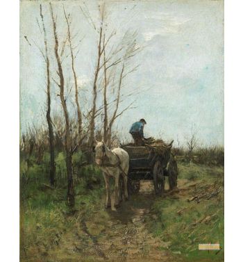Gathering Wood